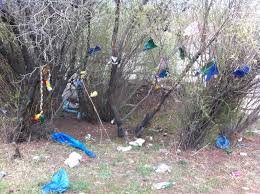 Цагаан сараас өмнө Туул голоо цэвэрлэнэ