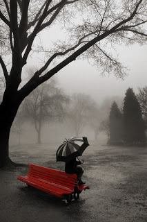 Ж.Болд- эрдэнэ  ГҮН ХАРАНХУЙД ШӨНИЙН БОРОО АДИЛ