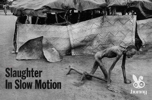 Жеймс Нахтвейгийн дэлхийг цочирдуулсан гэрэл зургууд