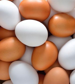 Цагаан, бор өндөгний алийг нь сонгох вэ?