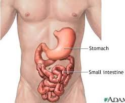 Ходоодоо эмчлэхүй