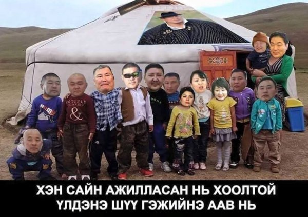 Улс төрийн шог фото