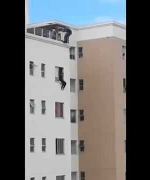 Амиа хорлох гэж байсан хүнийг аварч байгаа нь