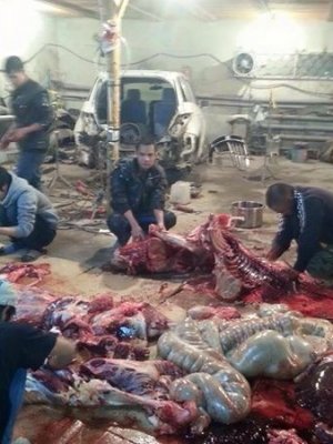 Вьетнамчуудад захиргааны хариуцлагаас өөр арга хэмжээ аваагүй байна