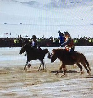 “Дүнжингарав-2015” хаврын уралдааны хурдан азарга, соёолонгийн айраг, түрүүг түдгэлзүүлж магадгүй