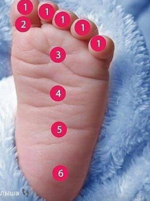 Бяцхан үрсийн өвчинг эмчлэх цэгүүд