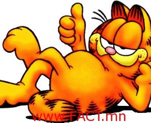 Онигоонууд