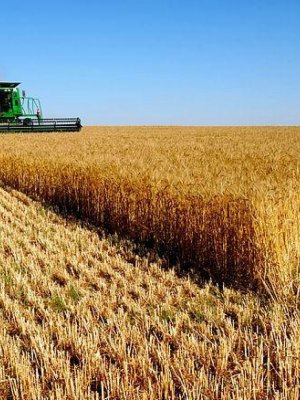 Хавар цаг хаяанд ирсэн ч тариаланчид тариалах үргүй байна