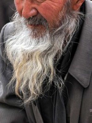 Сахлаа ургуулсныхаа төлөө хорих ял авлаа