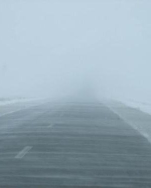 Ч.Туяа: Хоёр хүн цасан шуурганд төөрч, амиа алдсан