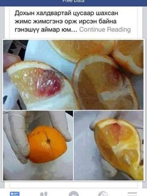 ДОХ-ын халдвартай гэх жимсийг шалгаж байгаа гэв