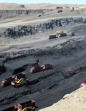 Бид өрөм идэх үү, хусам идэх үү