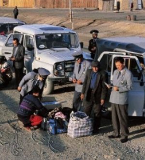 Баруун хилийн боомтоор чонын арьс, чулуу гаргах гээд баригдлаа