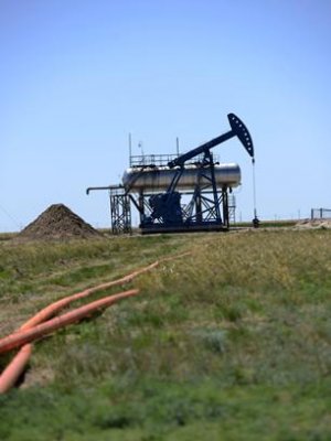 “Петройчайна Дачин Тамсаг” компанитай холбоотой 200 гаруй өргөдөл иржээ