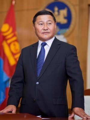 АН-ыг Н.Алтанхуяг удирдаж сонгуульд оруулна