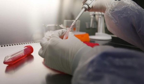 MERS-ийн эсрэг туршилтын эмчилгээг Өмнөд Солонгост хийж эхэллээ