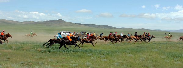 Эрлийз морьдыг тусад нь уралдуулах болов