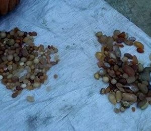НУТГИЙН ЧУЛУУГАА 