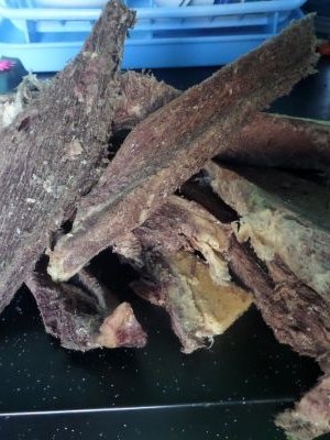 Борцны гайхамшигт нууц