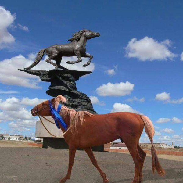 Хөшөөтэй, дуутай, хөрөгтэй ард түмний хайр халамжинд байдаг энэ цагийн хурдан буян алдарт ажнай шарга азаргын тухай