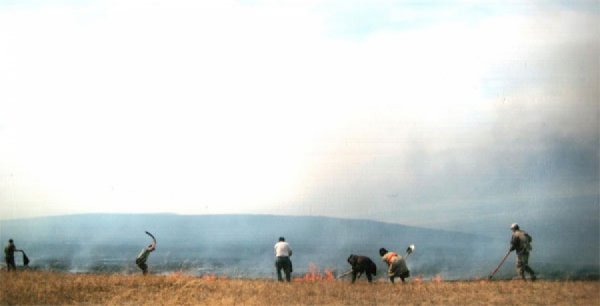 Сэлэнгэ, Булган аймагт түймэр гарлаа