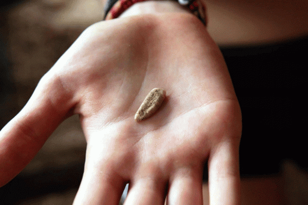 16 настай охин эртний 550-580 мянган жилийн өмнө амьдарч хүний шүд олжээ