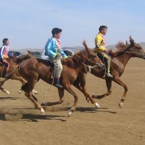 Эрлийз дээд болон дунд насны ангилалын морьдын уралдаан болж өнгөрлөө