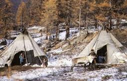 Цаатан иргэдийн даатгалын шимтгэлийг улсаас төлнө