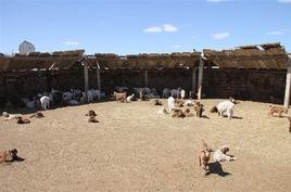 Өвөлжилтийн бэлтгэлийг сайтар хангахыг анхаарууллаа