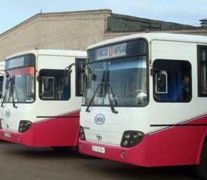 Даншиг наадмаар нийтийн тээвэр үнэгүй үйлчилнэ