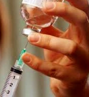 Томуугийн дархлаажуулалт 10-р сарын эхээр эхэлнэ