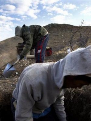 Хууль бусаар алт олборлогчдод торгууль ноогдуулжээ