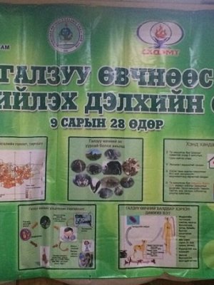 “Галзуу өвчинтэй тэмцэх дэлхийн өдөр” боллоо