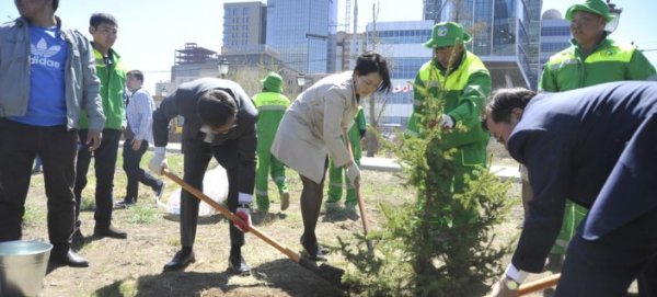 Маргааш “Бүх нийтээр мод тарих үндэсний өдөр”