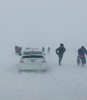 Тэрэлжид цасанд боогдсон 44 хүнийг осгохоос аварчээ