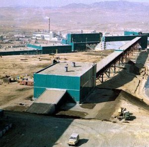 “Эрдэнэт” үйлдвэрийнхэн 16002 мод тарьжээ