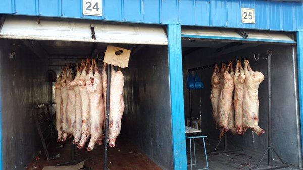 үчит шонхор зах дээр хонины мах 3100, үхэр 5000, адуу 4000 төгрөг байна