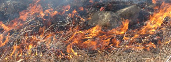 Түймэрийн улмаас 7,7 тэрбум төгрөгийн хохирол учраад байна