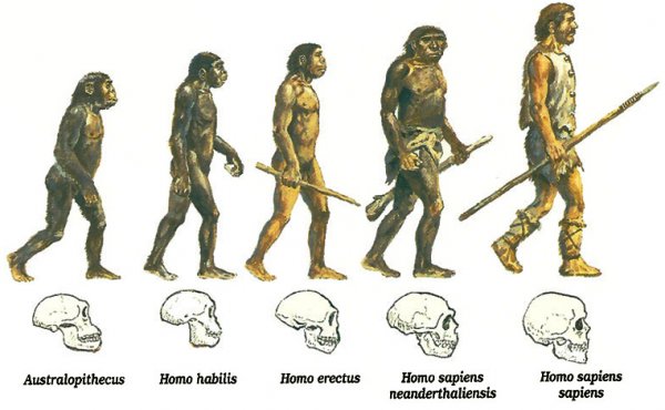 Оюун ухаант хүний өвөг Азид үүссэн үү...