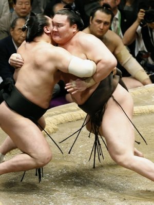 Хакухо их аваргын буурь зааж, ганцаараа тэргүүлж байна