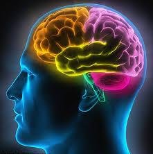 Тархи болон сэтгэл зүйгээ эмчлэх дасгал