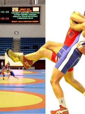 Шинэ аваргууд төрүүлсэн тэмцээн