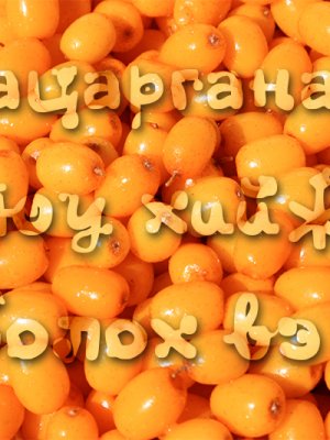 Чацарганаар юу хийж болох вэ?