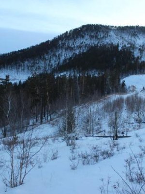 Ноён уулыг хамгаалалтад авсан “дүр эсгэв”