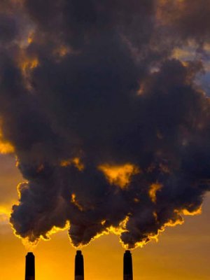 Хатгалгаанаас болж нярайн 17.1 хувь нь эндэж байна