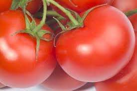 Хавдар үүсгэгч Е гэж юу вэ