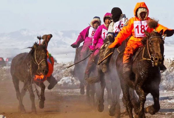 “ДҮНЖИНГАРАВ-2016” ХУРДАН МОРИНЫ УРАЛДААН 28-НД БОЛНО