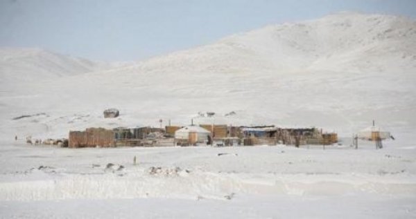 Өвөлжилт хүндэрсэн аймгуудад 2.4 тэрбум төгрөг хуваарилжээ