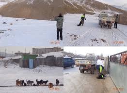 Нохой устгалд зарцуулах санхүүжилтийг нэмэгдүүлэх санал гарлаа