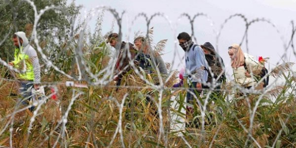 Дүрвэгсдийн агентлагт тусламж үзүүлнэ